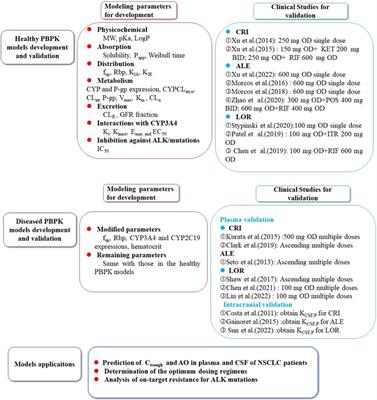 Prediction of trough concentration and ALK occupancy in plasma and cerebrospinal fluid using physiologically based pharmacokinetic modeling of crizotinib, alectinib, and lorlatinib
